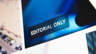 media content by infopulse